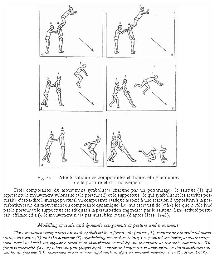 Comme faire les hommes augmenter le membre